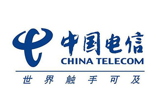 中国电信标志胸针